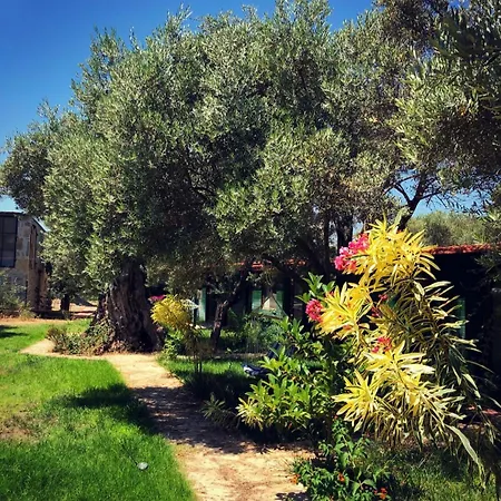 My * Mesudiye (Datca)