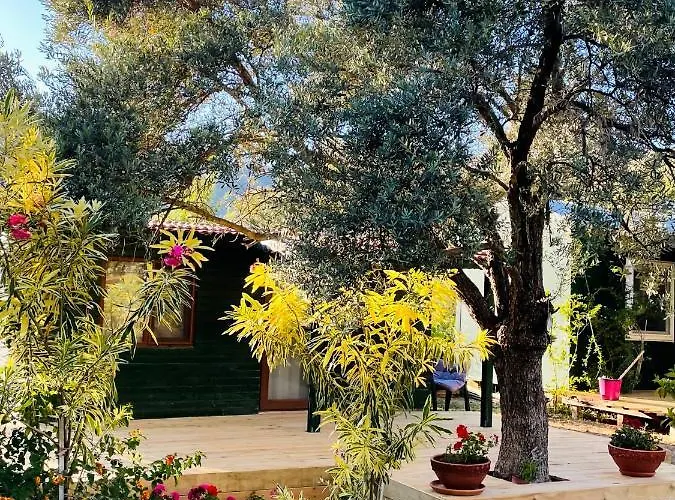 My Alojamento de Turismo Selvagem *