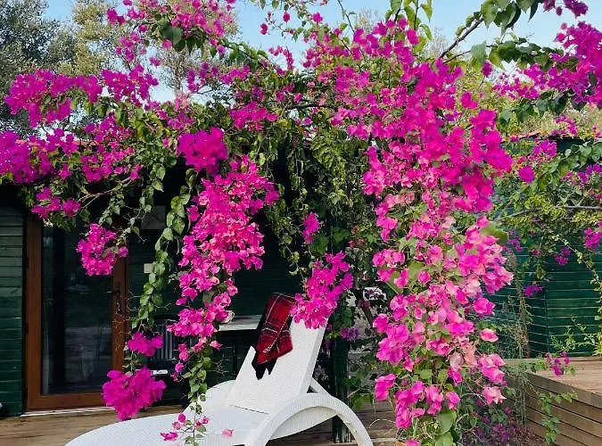 My Alojamento de Turismo Selvagem Mesudiye (Datca)