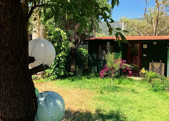 Alojamento de Turismo Selvagem My *