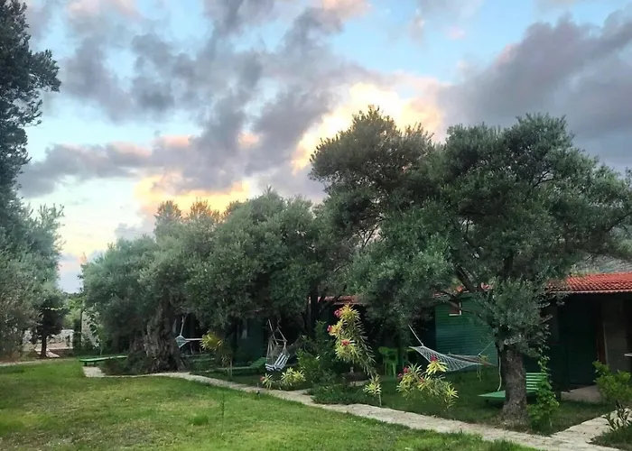 My Alojamento de Turismo Selvagem *