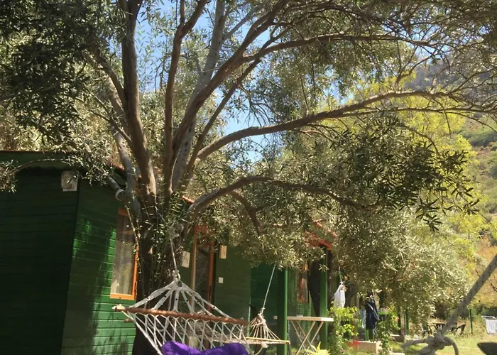 My Alojamento de Turismo Selvagem