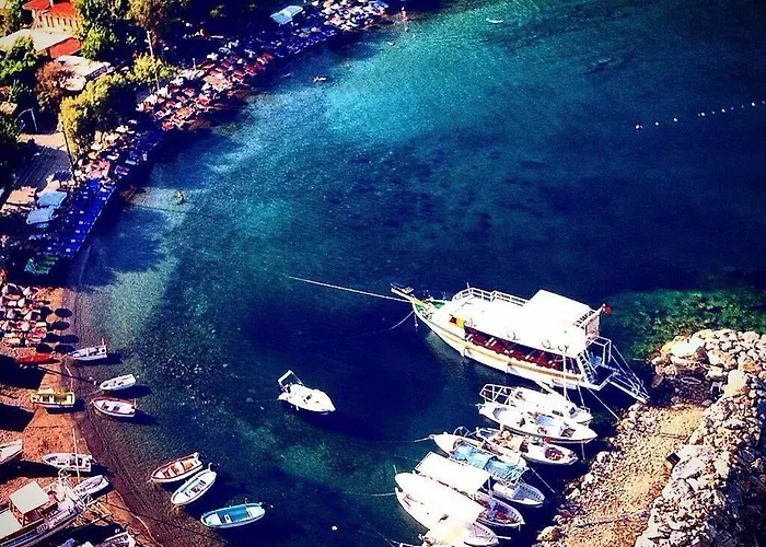 My Alojamento de Turismo Selvagem