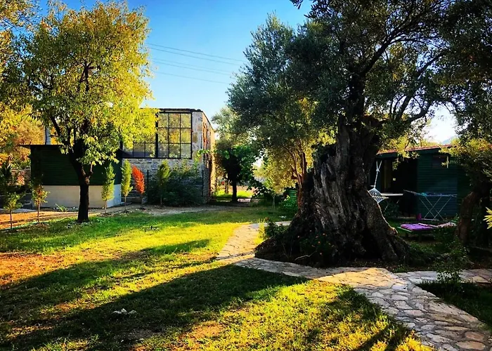 Alojamento de Turismo Selvagem My