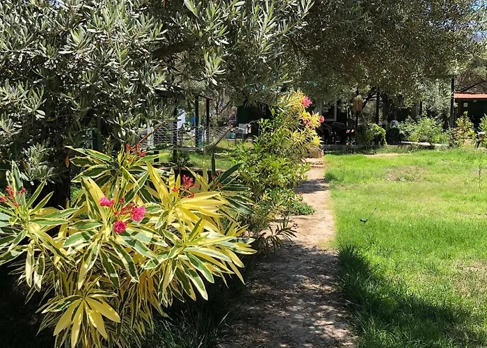 My Alojamento de Turismo Selvagem Mesudiye (Datca)