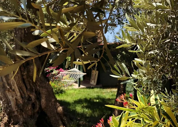 My Alojamento de Turismo Selvagem