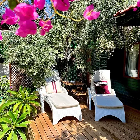 My * Mesudiye (Datca)